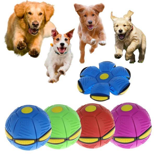 Bola Pula Pula para Pet